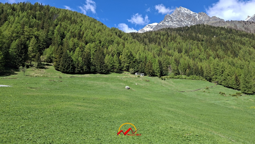 Immagine per Storico rascard valdostano nel cuore del Gran Paradiso