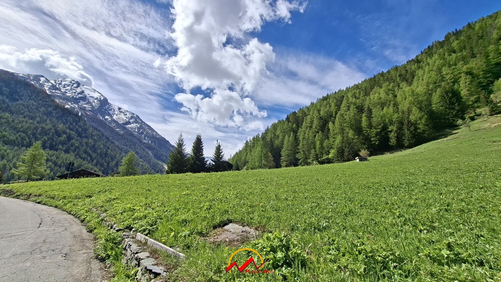 Immagine per Storico rascard valdostano nel cuore del Gran Paradiso